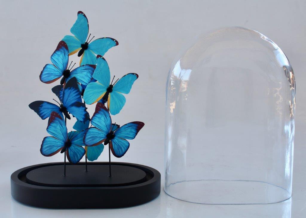 Medium Glass Dome Blue Butterflies